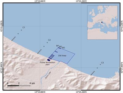 The Paradox of an Unpolluted Coastal Site Facing a Chronically Contaminated Industrial Area